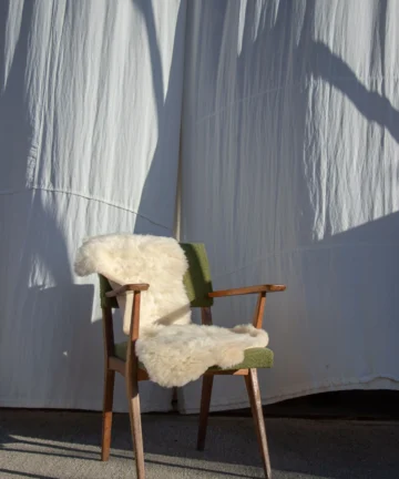 Peau de mouton française