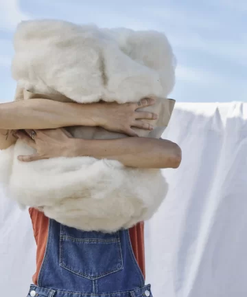 Image de laine cardée française