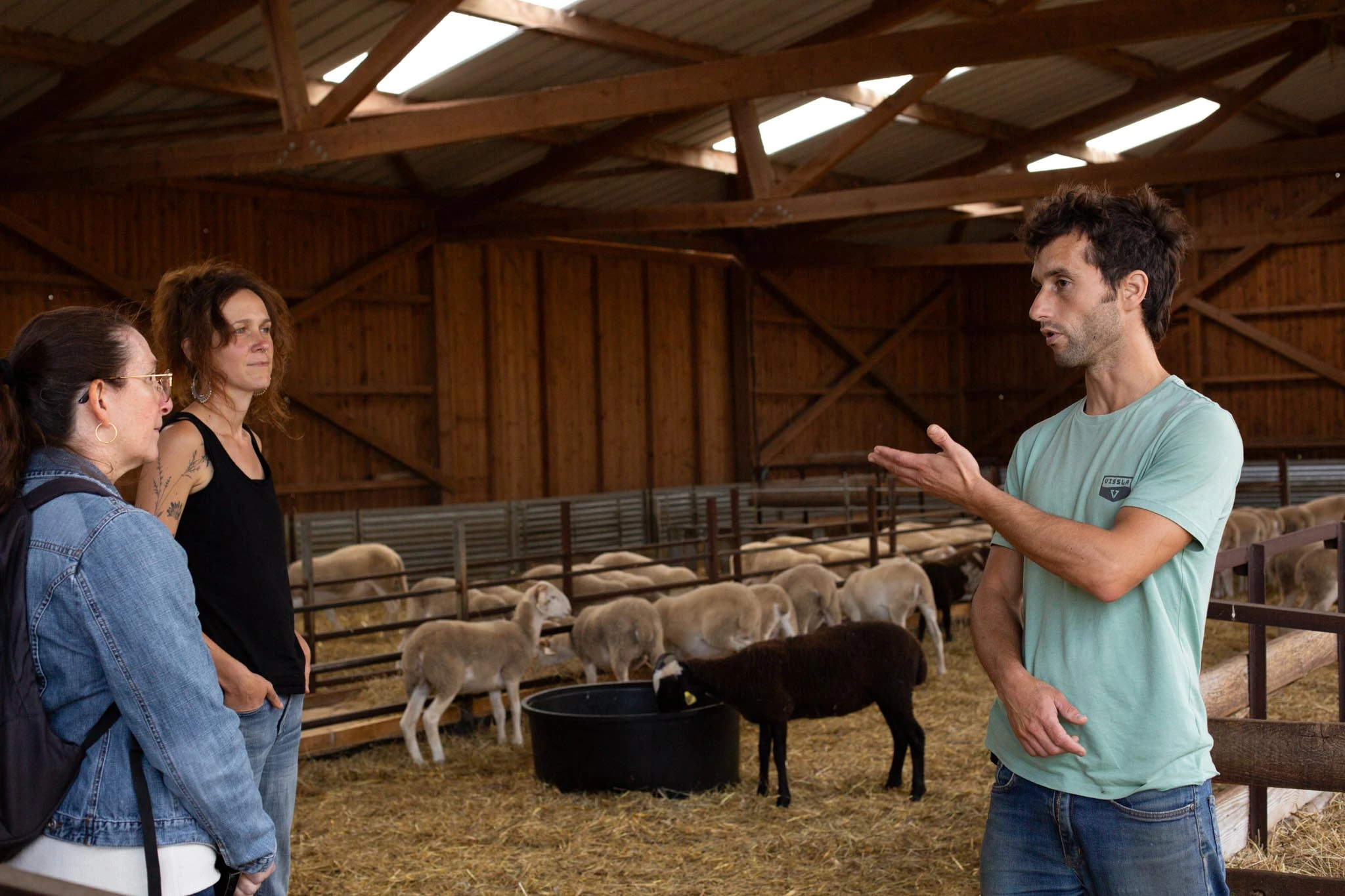 Visite de la ferme de Laines Paysannes