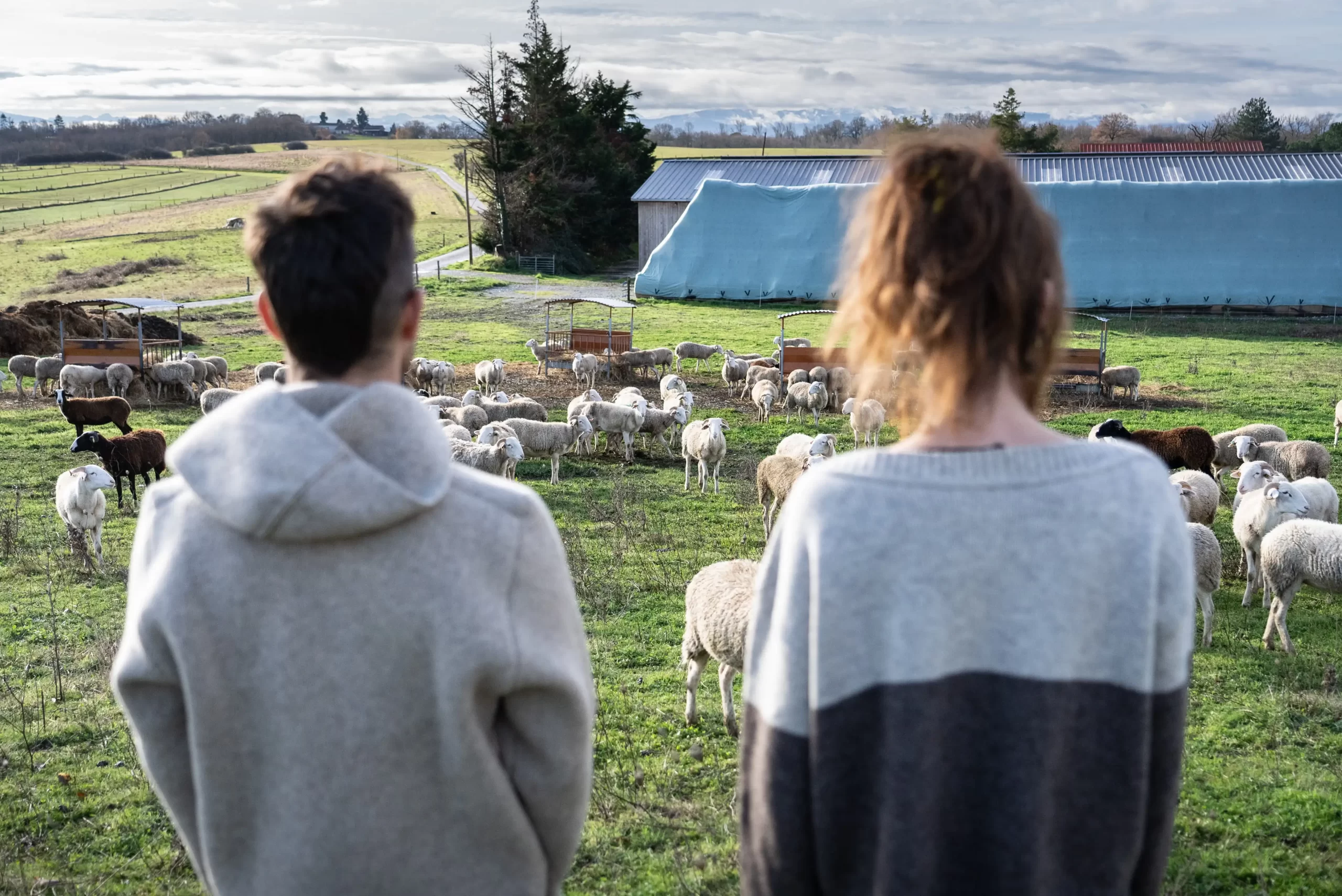 Visite de la ferme Laines Paysannes