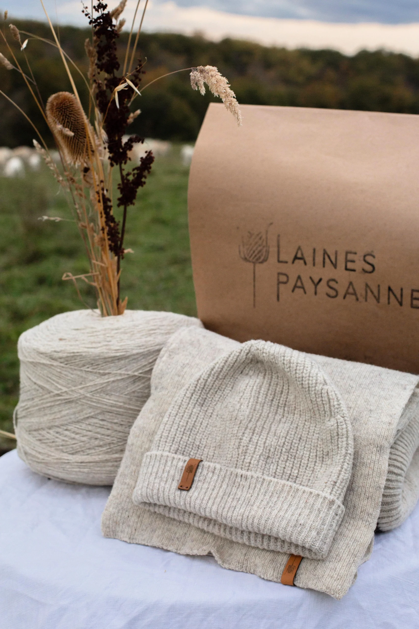 Coffret de Noël écharpe + bonnet laine Mérinos