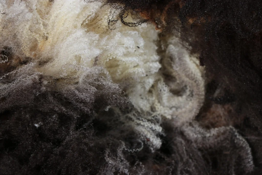 couleur laine naturelle